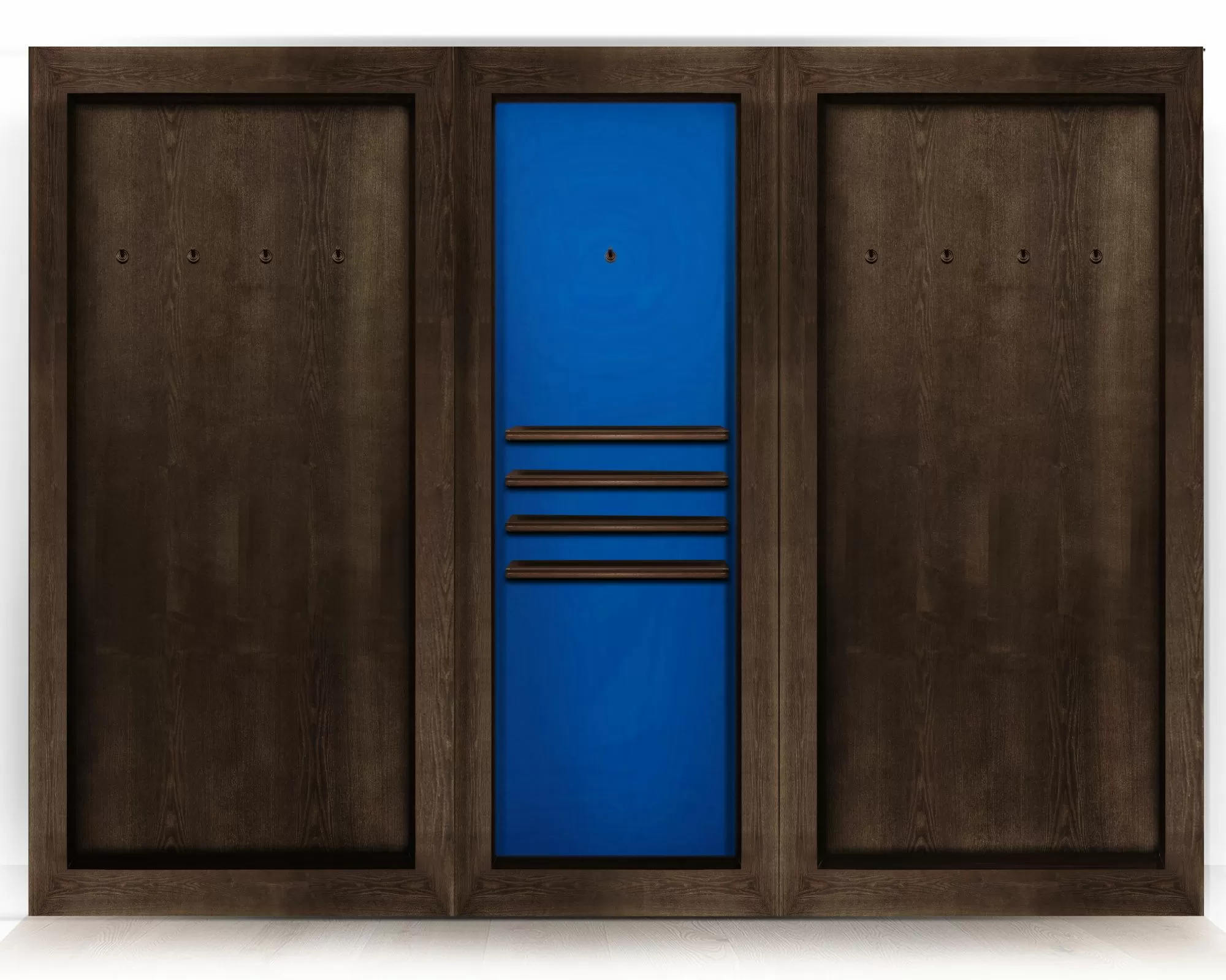 Киевница современная ясень мдф/шпон на 8 киев 11